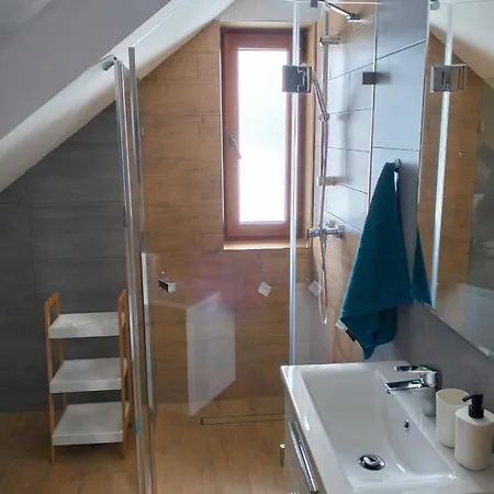 Debowy Apartamenty/Pokoje Debno  Esterno foto