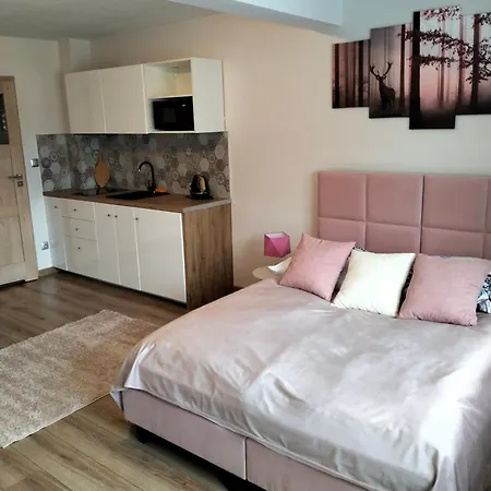 Debowy Apartamenty/Pokoje Debno  Esterno foto