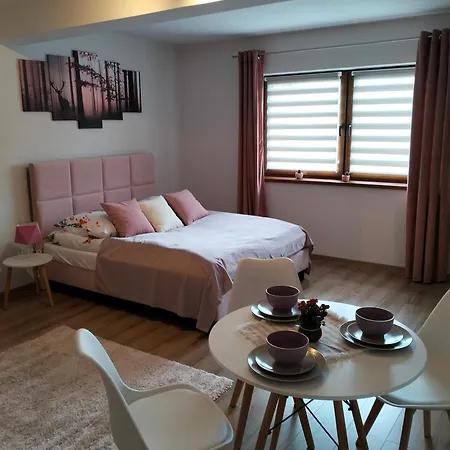 Debowy Apartamenty/Pokoje Debno  Esterno foto