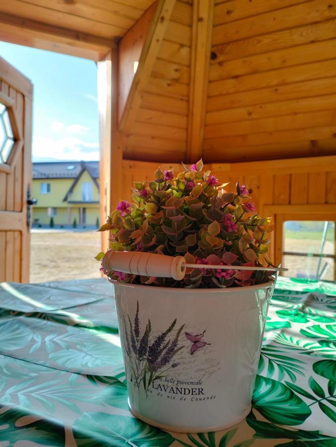 Debowy Apartamenty/pokoje *
