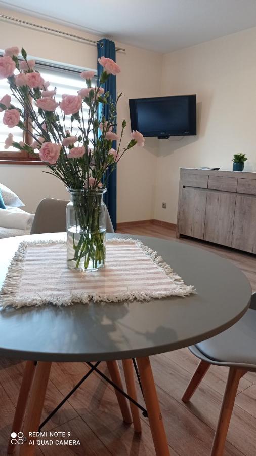Debowy Apartamenty/pokoje Apartament