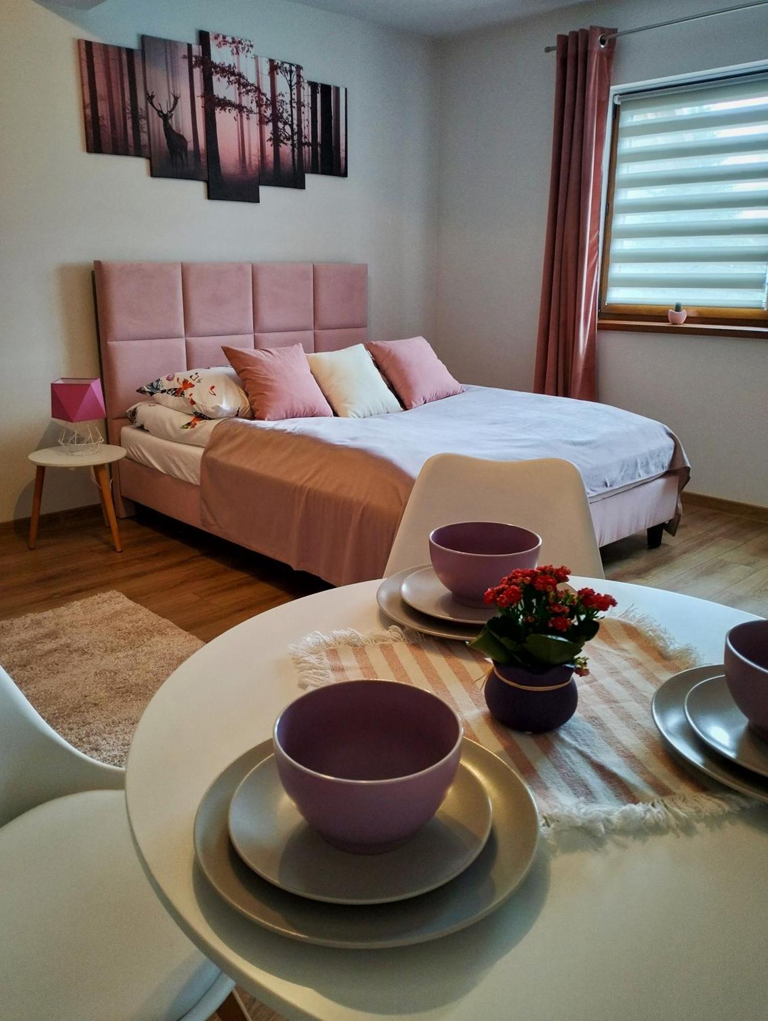 Apartament Debowy Apartamenty/pokoje